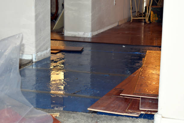 Professional Burst Pipe Cleanup technician working in Goodrich, MI